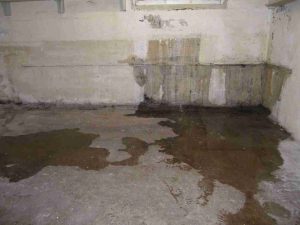 water-in-basement-atlanta-ga-cgs-waterproofing-1
