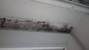 mold-inspection-atlanta-ga-cgs-waterproofing-1