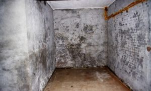 basement-flooding-cgs-waterproofing-1