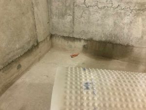 wet-basements-cgs-waterproofing-1