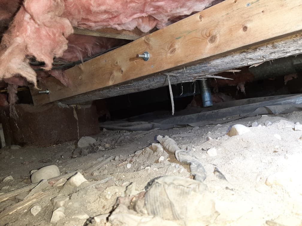crawlspace-waterproofing-cgs-waterproofing-3