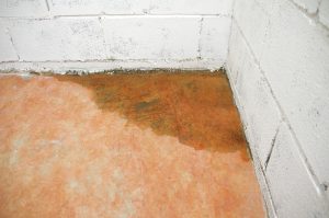 basement-waterproofing-cgs-waterproofing-2